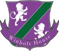 Winbolt logo